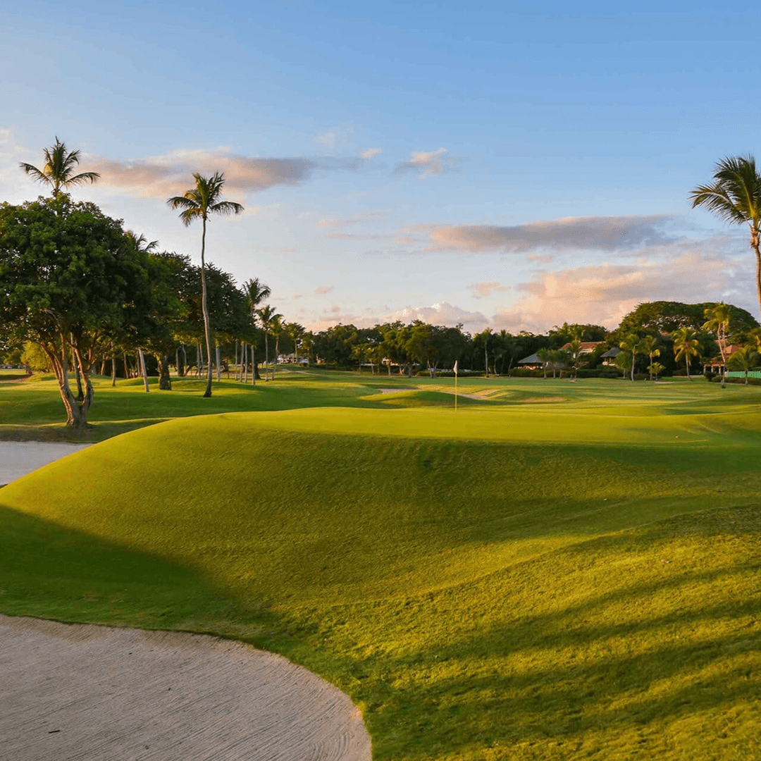 Teeth of the Dog (Casa de Campo)