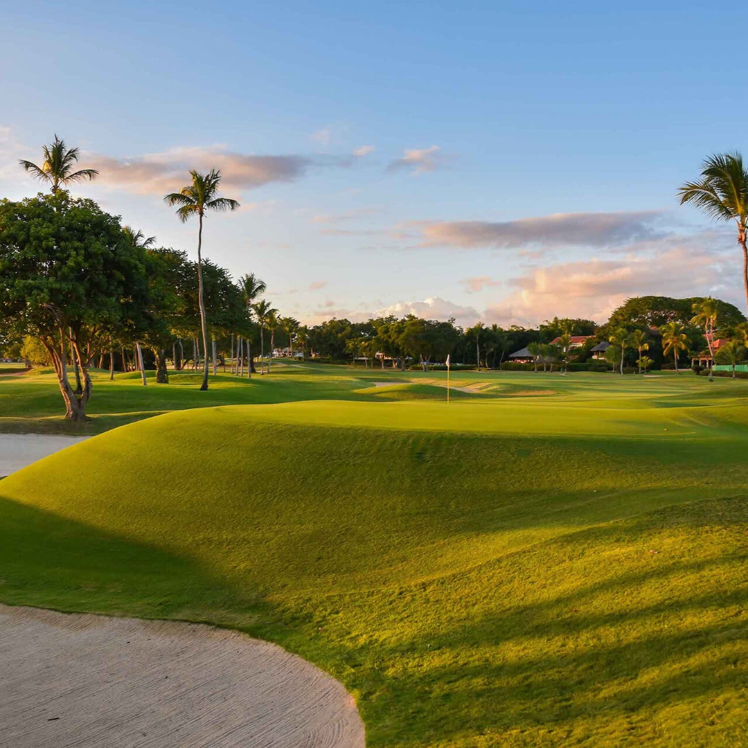 Teeth of the Dog (Casa de Campo)